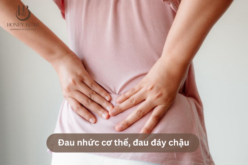 Đau nhức cơ thể, đau đáy chậu