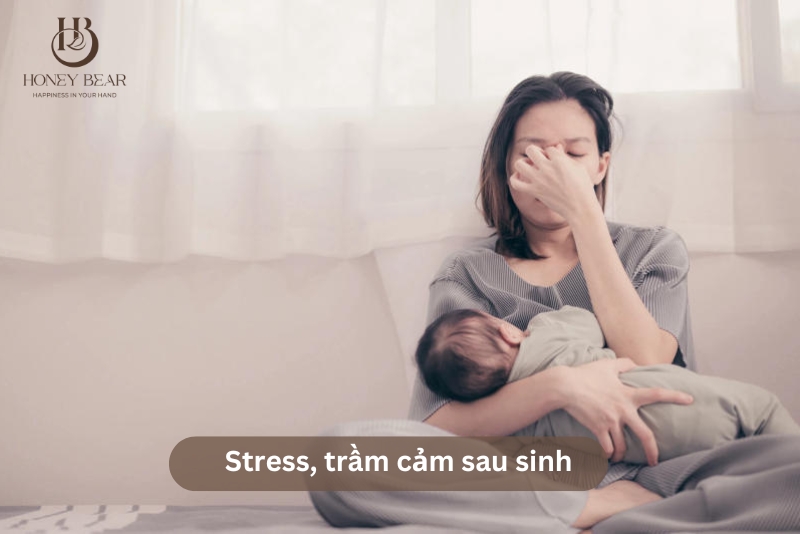 Stress, trầm cảm sau sinh