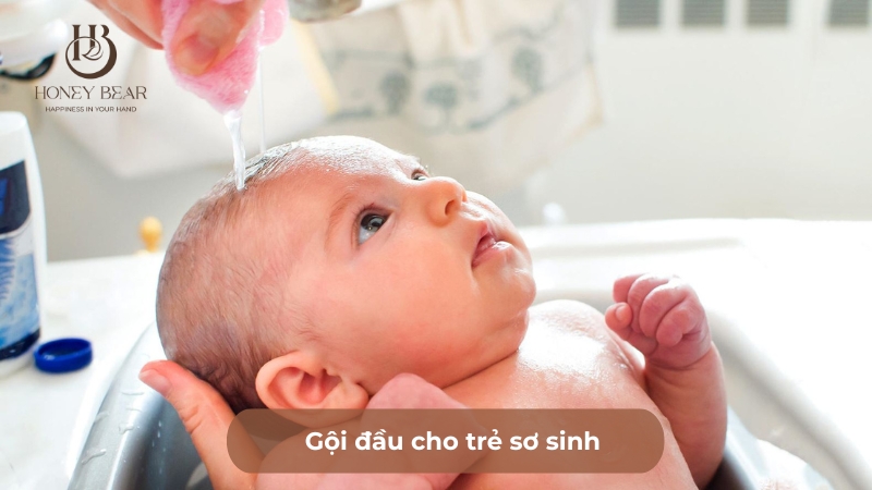 Gội đầu cho trẻ sơ sinh